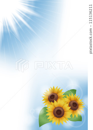 Summer greeting card with sunflowers and sky (no text) 115136211