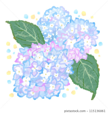 雨季盛開的繡球花水彩風格插畫 115136861