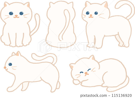 各種姿勢的白貓插圖集 115136920