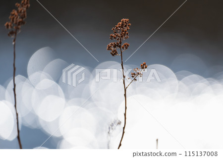 在水邊景觀 在水邊景觀 115137008