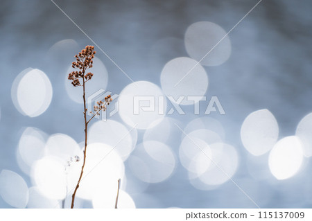 在水邊景觀 在水邊景觀 115137009