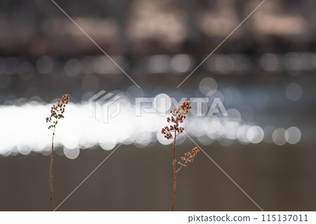 在水邊景觀 在水邊景觀 115137011