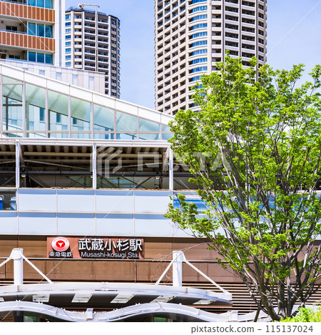 Tokyu Railway Musashi-Kosugi Station and TOKYU SQUARE [Musashi-Kosugi scenery] 115137024