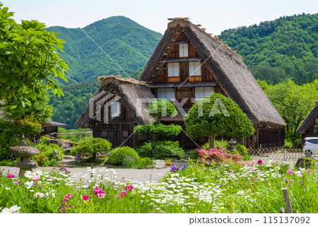 世界遺產白川鄉合掌造村花季 115137092