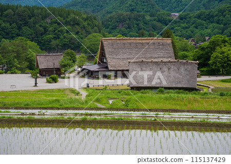 世界遺產白川鄉合掌造村插秧季節 世界遺產白川鄉合掌造村插秧季節 115137429