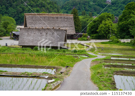 World Heritage Site Shirakawa-go Gassho-style Village Rice Planting Season 115137430