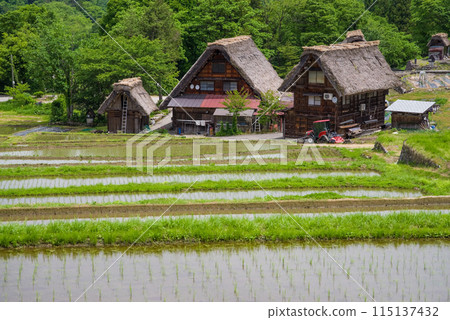 World Heritage Site Shirakawa-go Gassho-style Village Rice Planting Season World Heritage Site Shirakawa-go Gassho-style Village Rice Planting Season 115137432