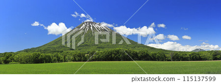 從北海道京極鎮京極看到的羊蹄山和新雪谷安努普利山 115137599