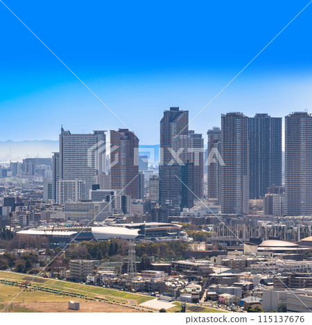 武藏小杉全景【神奈川縣的都會景觀】 115137676