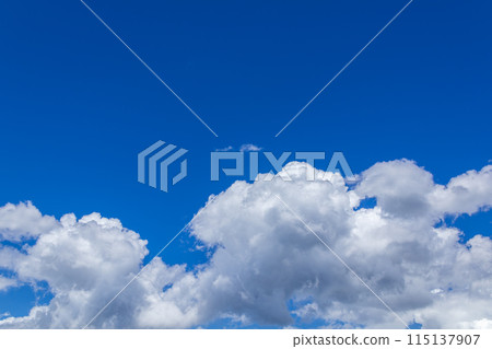 白雲在盛夏的藍天上流動 115137907