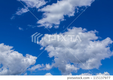 白雲在盛夏的藍天上流動 115137977