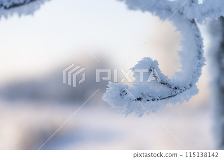 Closeup of frozen branch covered with frost on the winter morning Closeup of frozen branch covered with frost on the winter morning 115138142