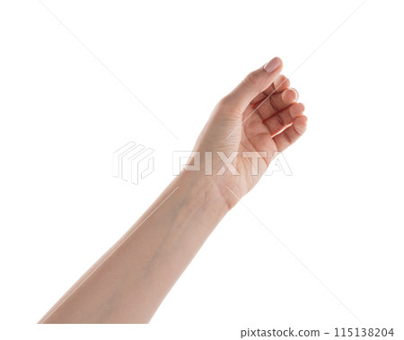 Female hand to hold something card isolated on white 115138204