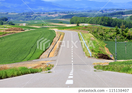 北海道美瑛町初夏風光 北海道美瑛町初夏風光 115138407