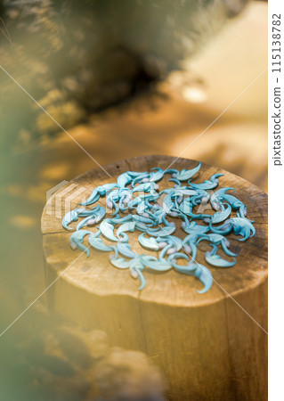 Jade Vine, Jade Vine, Tropical Plants, Greenhouse Dome Plants 115138782