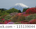 從杜鵑花田中眺望富士山 115139044