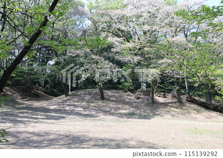 Iwatsuki Castle Park in Saitama City Iwatsuki Castle Park in Saitama City 115139292