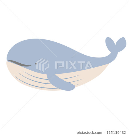 Light colored cute whale illustration 115139482