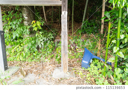 松坂路（熊野古道/Kiiji） 115139853