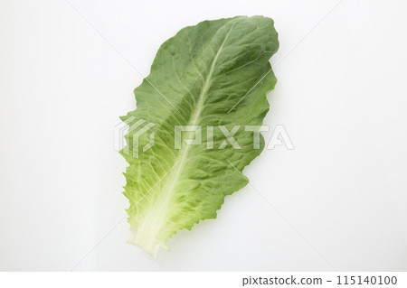 一片長葉生菜 115140100