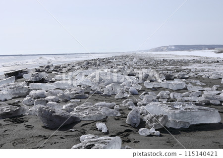美麗的珠寶冰淇淋被沖上北海道大津海岸 [2 月] 115140421