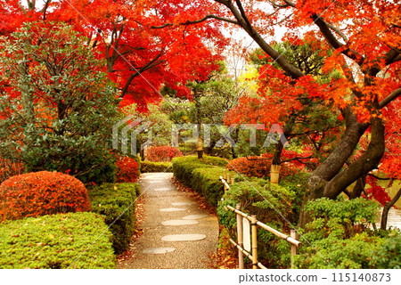 彩色秋葉植物秋季公園(2024年6月註冊) 彩色秋葉植物秋季公園(2024年6月註冊) 115140873