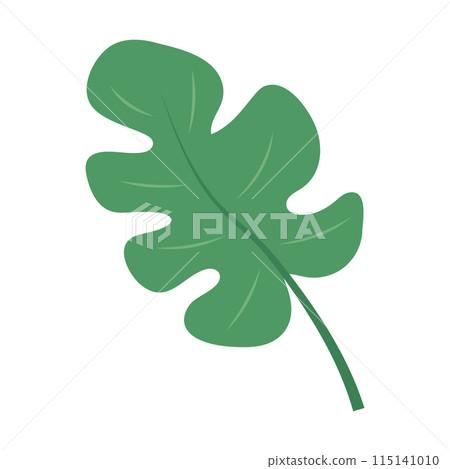 Cute green tropical leaf. Monstera leaf icon. Vector illustration isolated Cute green tropical leaf. Monstera leaf icon. Vector illustration isolated 115141010