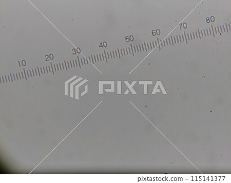 A ruler for measuring the size of microorganisms 115141377