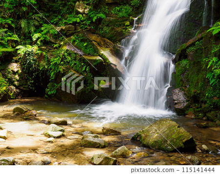 Waterfall Flowing Water 115141444