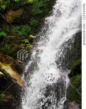 瀑布水流 115141446