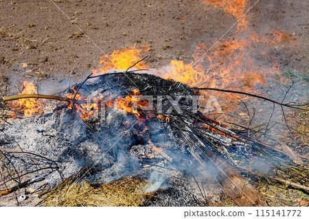 The image captures a small but intense fire burning on the ground. The image captures a small but intense fire burning on the ground. 115141772