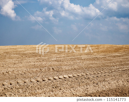 Clouds hover over a large expanse of tilled soil. 115141773