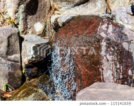 冬季泉水風景：從國分寺懸崖邊流淌出來的清涼泉水 115141839