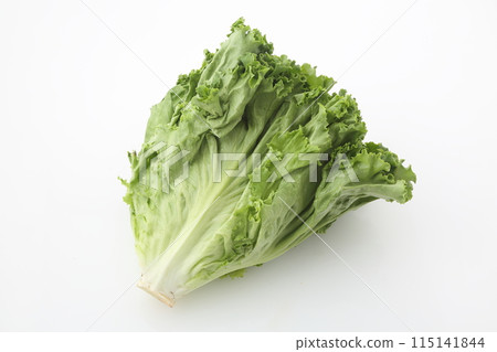 綠葉生菜 綠葉生菜 115141844