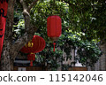Red Chinese Lanterns Hanging beautifully from a Tree add a festive touch to the outdoor ambiance 115142046