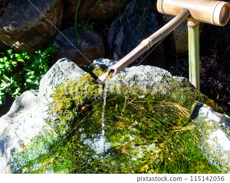 Fresh scenery in a Japanese garden: A water fountain in the shade 115142056