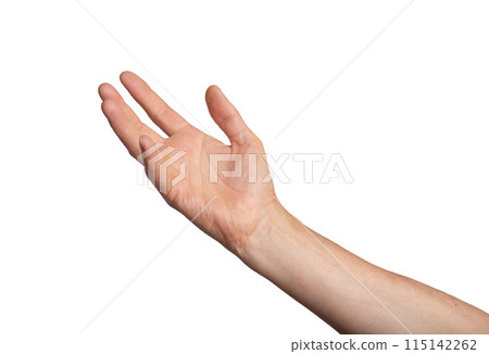 Hand arm isolated white take up hold object palm adult skin. Young concept showing business pick 115142262
