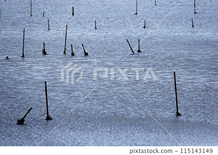 河口沿岸灘塗 115143149