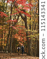 Autumn leaves hiking 115143341