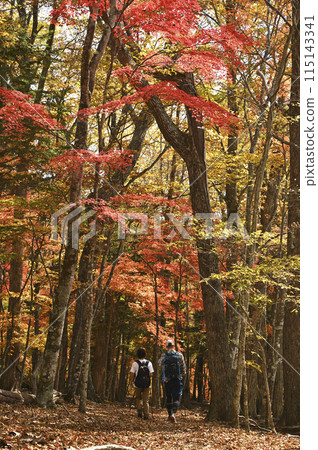 Autumn leaves hiking Autumn leaves hiking 115143341
