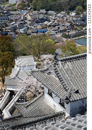 從主塔（世界文化遺產姬路城）眺望的櫻花季 115143410