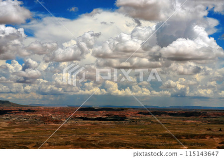 Alien Landscape Petrified Forest National Park Arizona 115143647