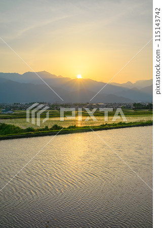 Rice fields shining in the sunset [Ikeda Town, Kitaazumi District] 115143742