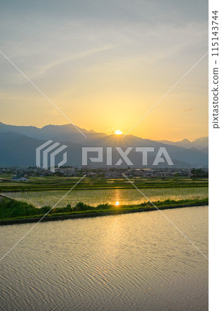 夕陽與閃亮的稻田【北安地區池田町】 115143744