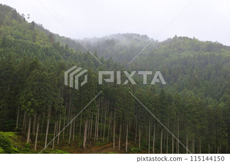 Miyama Glamping 在京都美山村茅倉度過一段尋找日本原生態風景的旅程,被神秘的薄霧包圍,茅草屋頂 Miyama Glamping 在京都美山村茅倉度過一段尋找日本原生態風景的旅程,被神秘的薄霧包圍,茅草屋頂 115144150