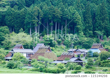 Miyama Glamping 在京都美山村茅倉度過一段尋找日本原生態風景的旅程，被神秘的薄霧包圍，茅草屋頂 115144208