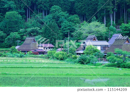Miyama Glamping 在京都美山村茅倉度過一段尋找日本原生態風景的旅程，被神秘的薄霧包圍，茅草屋頂 115144209