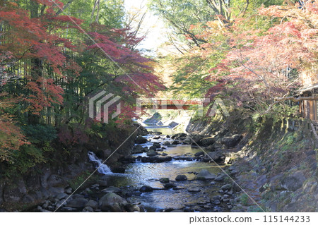 修善寺溫泉的秋葉和朱紅橋 115144233