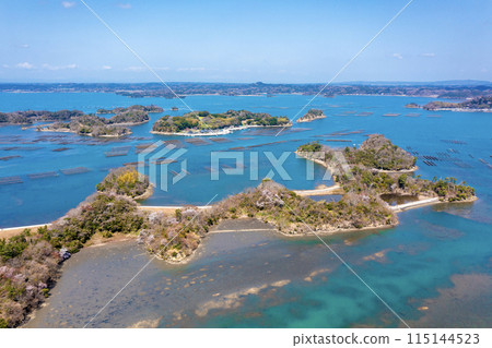 春天的松島（宮城縣東松島市） 115144523