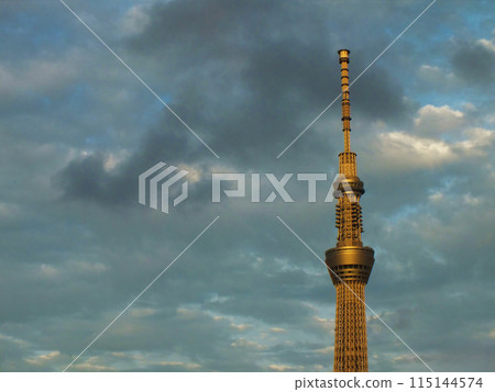 Skytree shining gold in the setting sun 115144574